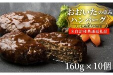 大分の恵み ハンバーグ 1.6kg（160g×10個）