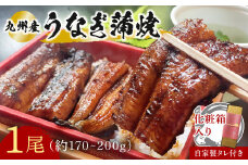 志おや 九州産 うなぎ 蒲焼 1本 約170～200g タレ 付