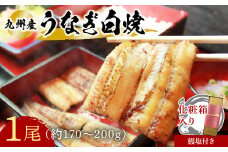 志おや 九州産 うなぎ 白焼 1本 約170～200g 塩 付