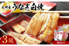 志おや 九州産 うなぎ 白焼 3本 塩 付