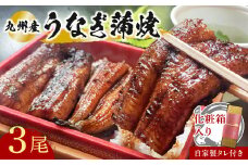 志おや 九州産 うなぎ 蒲焼 3本 タレ 付