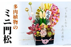 【先行受付】多肉植物のミニ門松