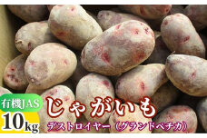 先行予約 有機JASじゃがいも 10kg （グランドペチカ／デストロイヤー） 【畑直送】