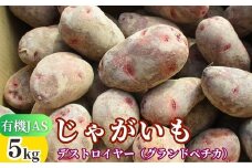 先行予約 有機JASじゃがいも 5kg （グランドペチカ／デストロイヤー） 【畑直送】