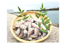 岬だこブツ切り200g×3パック食べきりサイズ！