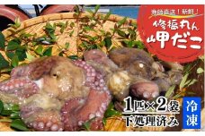 修福丸ん岬だこ 丸ごと 2匹 下処理済み 約1.2kg