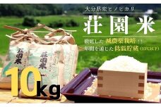 米 10kg 荘園米 お米 精米 ヒノヒカリ ひのひかり