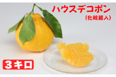 ハウスデコポン 約3kg（化粧箱入） ／ みかん ミカン 蜜柑 柑橘類 デコポン 不知火 3kg 先行予約 年内発送 年内配送 12月 フルーツ ＜132-003_5＞