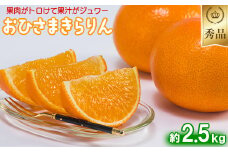今村農園のおひさまきらりん 約2.5kg【秀品】  甘い オレンジ みかん ミカン 清美 2.5kg 12月発送 1月発送 先行予約 贈答 柑橘類 フルーツ ＜107-024_6＞