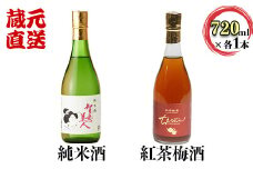 智恵美人純米酒+ちえびじん紅茶梅酒のセット【中野酒造】 飲み比べ べにふうき 和紅茶 ギフト 贈答 敬老の日 ＜110-016_7＞