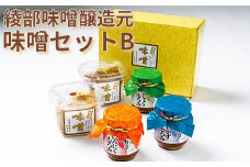 綾部味噌醸造元の味噌セットB＜106-011_5＞