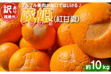 【訳あり・規格外品】今村農園の「蔵姫くらひめ（紅甘夏） 約10kg」 先行予約 10kg 2026年 3月発送 4月発送 わけあり 柑橘類 みかん ミカン フルーツ ＜107-028_7＞