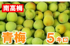 ひらそ農園の青梅 5kg 梅 南高梅 青梅 梅干し 梅干 梅干し用 梅酒用 梅酒 梅シロップ 梅ジャム 5キロ 数量限定 先行予約 6月 ＜004-007＞