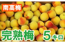 ひらそ農園の完熟梅 5kg 梅 南高梅 完熟梅 梅干し 梅干 梅干し用 梅酒  梅シロップ 梅ジャム 5キロ 数量限定 先行予約 6月 ＜004-009＞