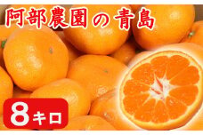 【訳あり品】阿部農園の「青島 約8kg」 ／ ミカン みかん 蜜柑 柑橘類 糖度 訳あり 1月 先行予約 甘い 温州みかん フルーツ ＜112-003＞