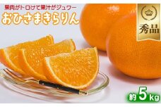 今村農園のおひさまきらりん 約5kg【秀品】 甘い オレンジ みかん ミカン 清美 5kg 12月発送 1月発送 先行予約 贈答 柑橘類 フルーツ ＜107-025_7＞