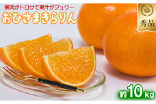 今村農園のおひさまきらりん 約10kg【秀品】  甘い オレンジ みかん ミカン 清美 10kg 12月発送 1月発送 先行予約 贈答 柑橘類 フルーツ ＜107-026_7＞