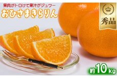今村農園のおひさまきらりん 約10kg【秀品】  甘い オレンジ みかん ミカン 清美 10kg 12月発送 1月発送 先行予約 贈答 柑橘類 フルーツ ＜107-026_7＞