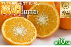 今村農園の蔵姫くらひめ（紅甘夏） 約10kg【秀品】 先行予約 10kg 2026年 3月発送 4月発送 贈答 柑橘類 みかん ミカン フルーツ ＜107-033_7＞