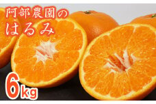 【訳あり品】阿部農園の「はるみ 約6kg」 ／ ミカン みかん 蜜柑 柑橘類 はるみ 先行予約 2月 訳あり 数量限定 フルーツ ＜112-008＞
