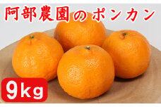 阿部農園の「ポンカン 約9kg」 ／ ミカン みかん 蜜柑 柑橘類 先行予約 1月 2月 数量限定 フルーツ ＜112-005＞