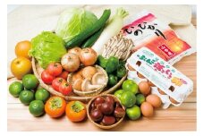 杵築で収穫された季節の野菜・果物・お米(山香米2kg）・玉子（L10個）の詰合わせセット＜105-018_5＞