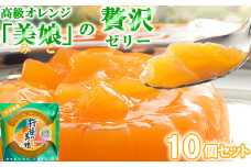 高級オレンジ「美娘」をたっぷり使用した贅沢ゼリー「杵築の美娘」 10個セット お菓子の菊家 敬老の日 ＜124-002_5＞