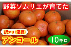 【訳あり・優品】野菜ソムリエ石児さんの「アンコール 10kg」 ミカン みかん 蜜柑 柑橘 10kg 訳あり 甘い 柑橘類 アンコール アンコールオレンジ フルーツ 先行予約 ＜103-020＞