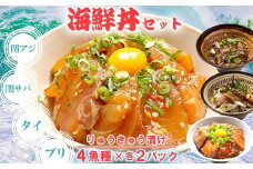 りゅうきゅう4種(関あじ・関さば・真鯛・ぶり)[各2食セット] 海鮮丼 漬け丼 大分郷土料理 豊後絆屋 ふるさと納税 魚 冷凍 加工品 惣菜 おすすめ おいしい 刺身 詰め合わせ おせち セット 産地直送 国産 大分県 海鮮 漬け 真空パック 小分け 惣菜 人気 関アジ 関あじ 関サバ 関さば  鯛 タイ たい 鰤 ブリ ぶり ＜101-003_5＞