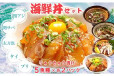りゅうきゅう5種(関あじ・関さば・太刀魚・真鯛・ぶり)[各2食セット] 海鮮丼 漬け丼 大分郷土料理 豊後絆屋 ふるさと納税 魚 冷凍 加工品 惣菜 おすすめ おいしい 刺身 詰め合わせ おせち セット 産地直送 国産 大分県 海鮮 漬け 真空パック 小分け 惣菜 人気 関アジ 関あじ 関サバ 関さば  太刀魚 タチウオ たちうお 鯛 タイ たい 鰤 ブリ ぶり ＜101-004_5＞