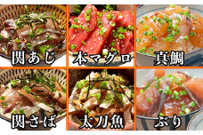 りゅうきゅう6種(本マグロ・関あじ・関さば・太刀魚・真鯛・ぶり)[各2食セット] 海鮮丼 漬け丼 大分郷土料理 豊後絆屋 魚 冷凍 加工品 惣菜 おすすめ おいしい 刺身 詰め合わせ おせち セット 産地直送 国産 海鮮 漬け 真空パック 小分け 惣菜 人気 鮪 マグロ まぐろ 関アジ 関あじ 関サバ 関さば  太刀魚 タチウオ たちうお 鯛 タイ たい 鰤 ブリ ぶり ＜101-005_5＞