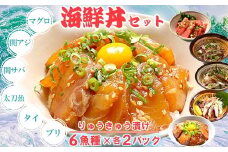 りゅうきゅう6種(本マグロ・関あじ・関さば・太刀魚・真鯛・ぶり)[各2食セット] 海鮮丼 漬け丼 大分郷土料理 豊後絆屋 魚 冷凍 加工品 惣菜 おすすめ おいしい 刺身 詰め合わせ おせち セット 産地直送 国産 海鮮 漬け 真空パック 小分け 惣菜 人気 鮪 マグロ まぐろ 関アジ 関あじ 関サバ 関さば  太刀魚 タチウオ たちうお 鯛 タイ たい 鰤 ブリ ぶり ＜101-005_5＞