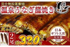 【配送日指定可能】温泉うなぎ蒲焼 2尾（160gサイズ） 国産うなぎ 人気 国産 蒲焼 蒲焼き かば焼き 鰻屋 個包装 冷凍 真空 ギフト 敬老の日 ＜104-011_5＞