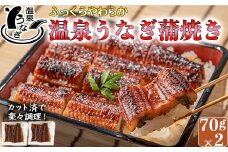 【配送日指定可能】完全無投薬養殖！大分水産の温泉うなぎ蒲焼（カット）70g×2 お試しにどうぞ！ 国産 蒲焼 蒲焼き かば焼き 鰻屋 個包装 冷凍 真空 ギフト 敬老の日 ＜104-001_5＞