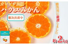 オレンジ農園のハウスみかん　約2kg みかん 柑橘 先行予約 7月 8月 フルーツ ＜114-002_6＞