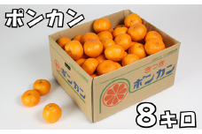 ポンカン 8kg（バラ詰め） ／ ミカン みかん 蜜柑 柑橘類 8kg 先行予約 1月 甘い ポンカン フルーツ ＜132-005_5＞
