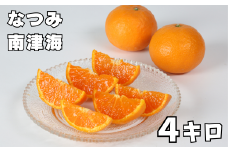 南津海[なつみ] 4kg ／ ミカン みかん 蜜柑 柑橘類 南津海 4kg 先行予約 フルーツ ＜132-009_5＞
