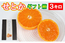 せとか  約3kg（化粧箱入） ／ ミカン みかん 蜜柑 柑橘類 せとか 3kg 先行予約 フルーツ ＜132-007_5＞