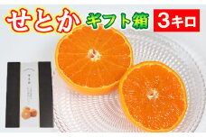 せとか  約3kg（化粧箱入） ／ ミカン みかん 蜜柑 柑橘類 せとか 3kg 先行予約 フルーツ ＜132-007＞