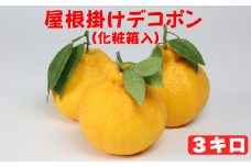 屋根掛けデコポン 約3kg（化粧箱入） ／ ミカン みかん 蜜柑 柑橘類 デコポン 不知火 3kg 屋根掛け 先行予約 フルーツ ＜132-006_5＞