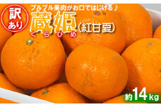 【訳あり・優品】今村農園の「蔵姫くらひめ（紅甘夏） 約14kg」 先行予約 14kg 2026年 3月発送 4月発送 わけあり 柑橘類 みかん ミカン フルーツ ＜107-031_7＞