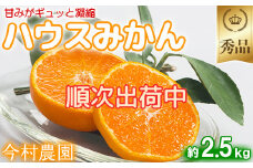 今村農園のハウスみかん 約2.5kg【秀品】 みかん 柑橘 2.5kg 秀品 先行予約 7月 8月 フルーツ ＜107-007_7＞