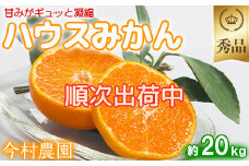 今村農園のハウスみかん 約20kg【秀品】 みかん 柑橘 20kg 秀品 先行予約 7月 8月 フルーツ ＜107-010_7＞