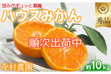 今村農園のハウスみかん 約10kg【秀品】 みかん 柑橘 10kg 秀品 先行予約 7月 8月 フルーツ ＜107-009_7＞