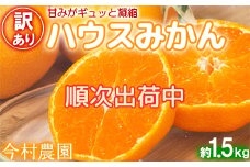 【訳あり・優品】今村農園のハウスみかん 約1.5kg みかん 柑橘 1.5kg わけあり 先行予約 7月 8月 フルーツ ＜107-002_7＞
