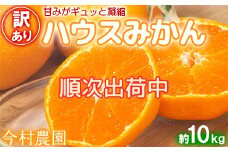 【訳あり・優品】今村農園のハウスみかん 約10kg みかん 柑橘 10kg わけあり 先行予約 7月 8月 フルーツ ＜107-004_7＞