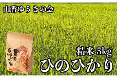 【 令和7年産 新米 先行予約 】山香ゆうきの会の米 5kg（精米：ひのひかり） 新米 5kg 米 先行予約 先行受付 ＜002-004＞