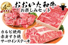 おおいた和牛 お楽しみセット（カルビ焼肉・赤身すき焼き・サーロインステーキ）【ニード牧場】 お楽しみ 黒毛和牛 豊後牛 牛肉 お肉 赤身 霜降り すき焼き すきやき ステーキ しゃぶしゃぶ 焼き肉 カルビ サーロイン セット キャンプ バーベキュー 国産 ＜129-015_5＞