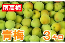 ひらそ農園の青梅 3kg 梅 南高梅 青梅 梅干し 梅干 梅干し用 梅酒用 梅酒 梅シロップ 梅ジャム 3キロ 数量限定 先行予約 6月 ＜004-006＞