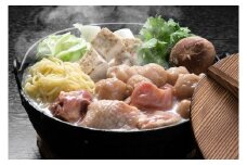 豊後絆屋 冠地どり鶏白湯鍋セットB 鶏肉 鍋 鍋用 冷凍 敬老の日 ＜101-011_5＞
